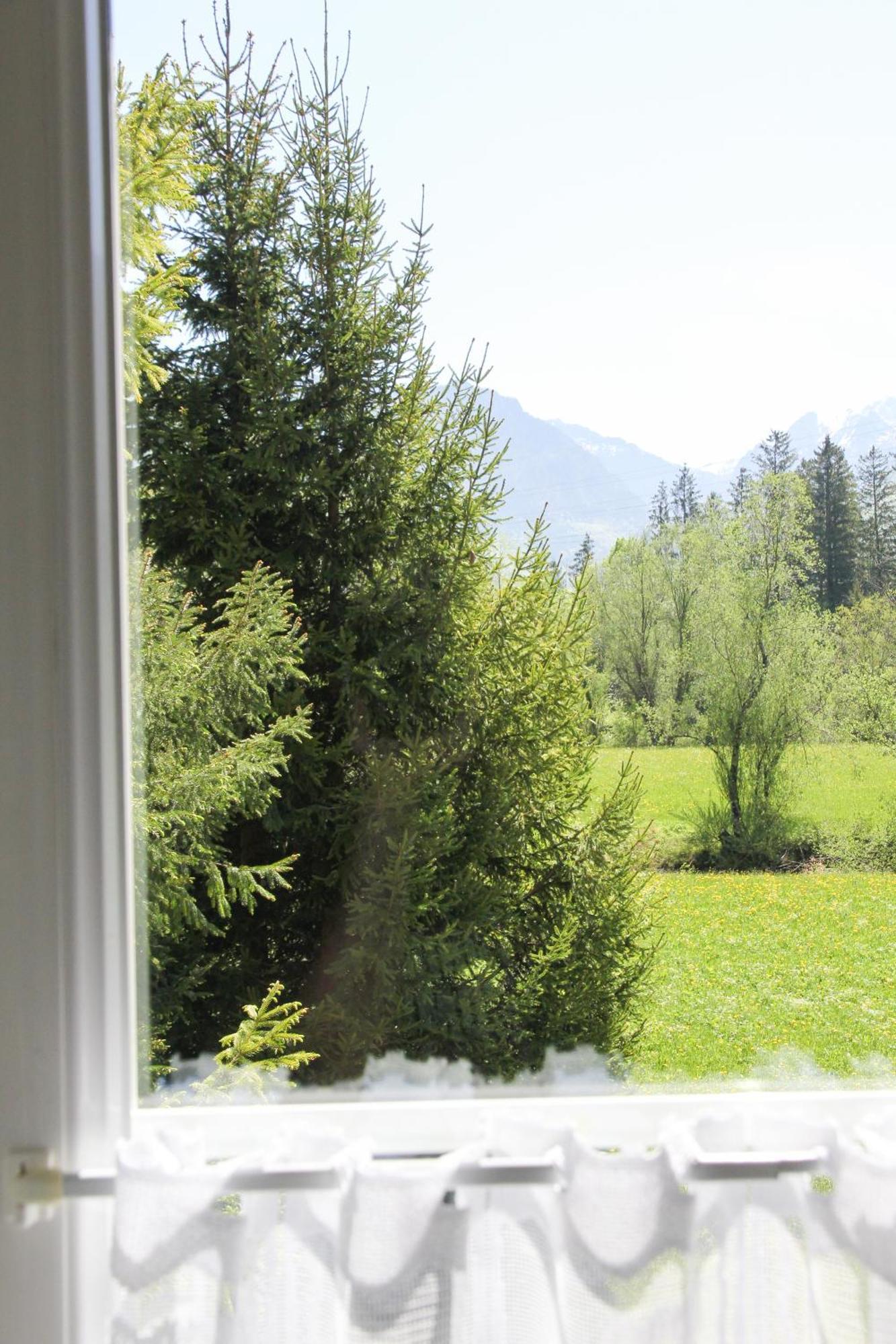 Villa Silvanus Ebensee Exterior foto